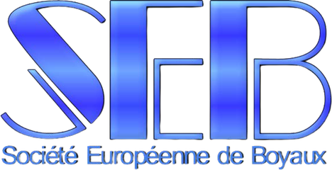 Logo SEB